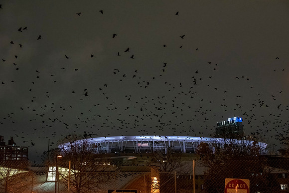 Night Game