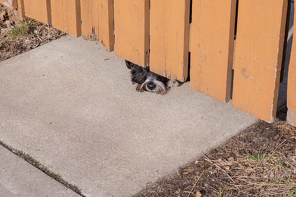 When can we play?