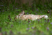 Exhausted