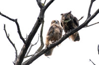 Mom prepares to fly