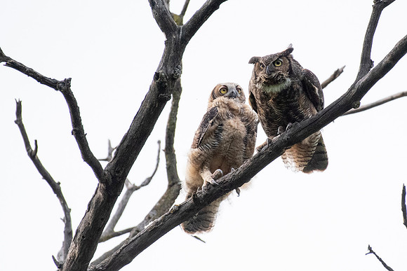 Mom prepares to fly