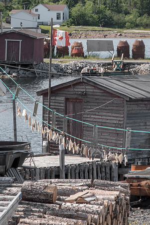 Drying cod