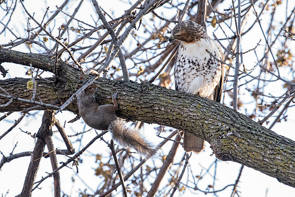 Checking each other out.