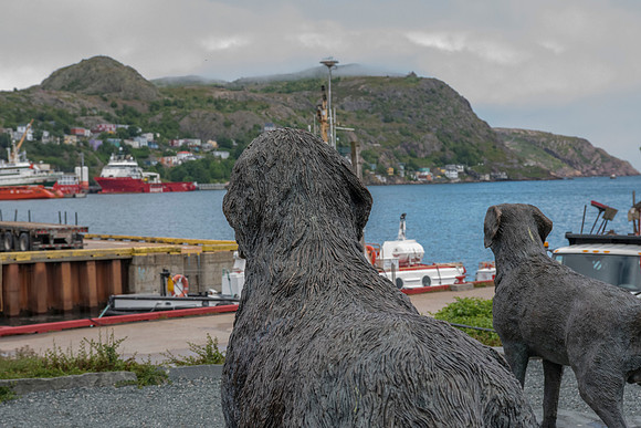 Guarding the Harbour