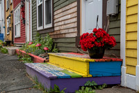 Colorful St. John's
