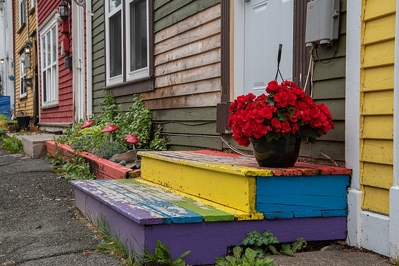 Colorful St. John's