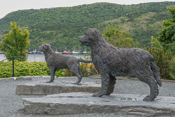 The province: Newfoundland and Labrador
