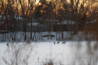 Family of four
