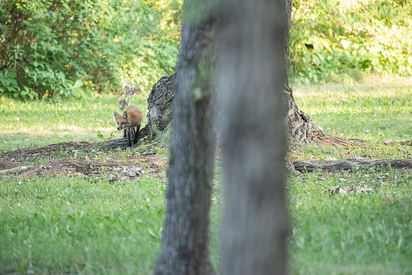 Hunter's Focus