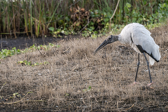 DSC_7280