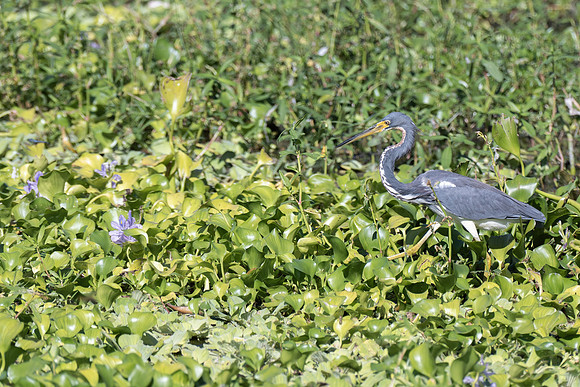 DSC_7441