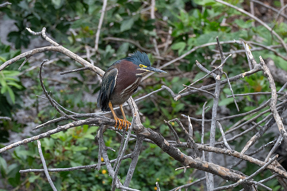 DSC_9215