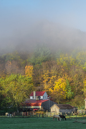 Fog, Fall, Farm