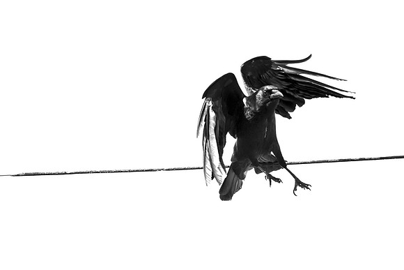 Take-off