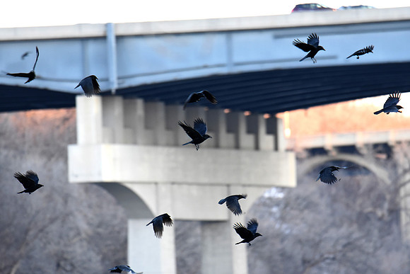 Crossing the River