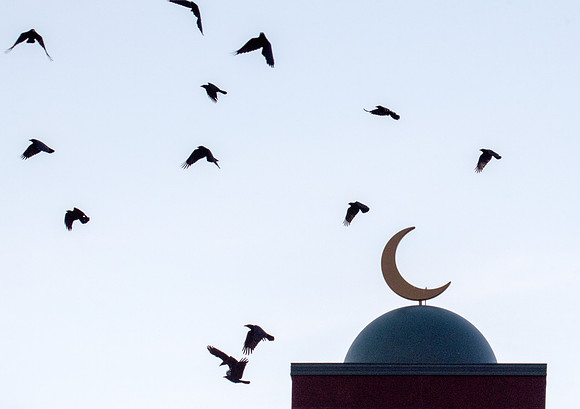 Tawfiq Islamic Center