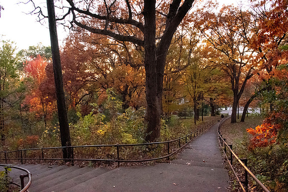 Deming Heights Park Fall 2019