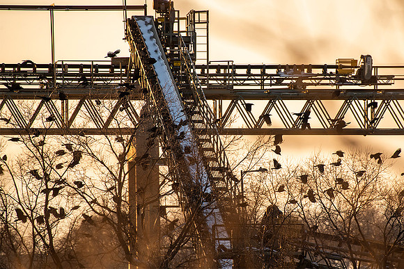 Industrial Crowscape