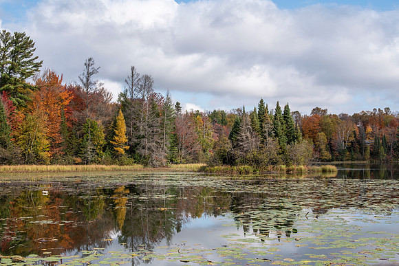 Little Pike Lake