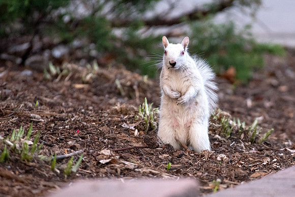 Who, Me?