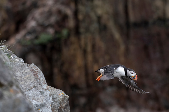 In flight