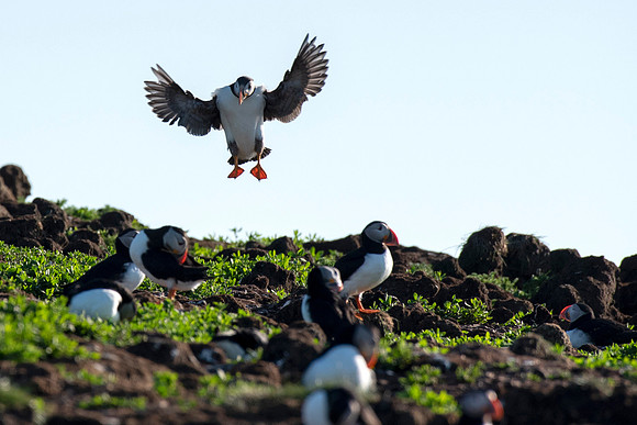 Landing