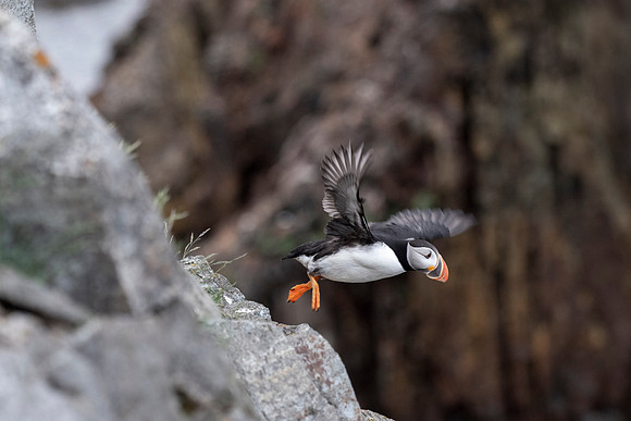 Take-off!
