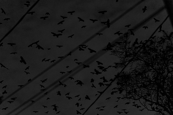 After Dark