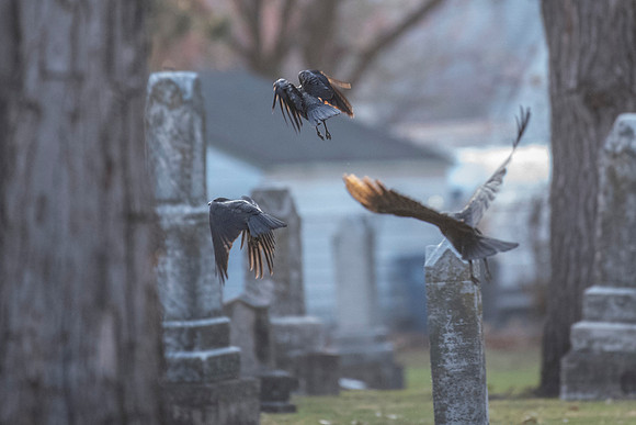 St. Anthony Cemetery